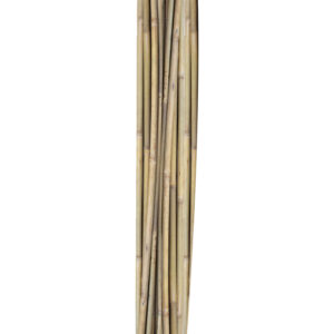Bambuskepid IN GARDEN H150cm 10tk D10/12