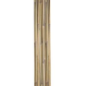 Bambuskepid IN GARDEN H180cm 10tk D12/14