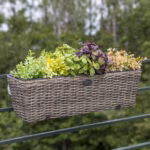 Rõdu lillekast WICKER 60x19xH18cm, tumep - Pilt 2