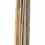 Bambuskepid IN GARDEN H120cm 20tk D8/10m - Pilt 3