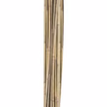 Bambuskepid IN GARDEN H150cm 10tk D10/12