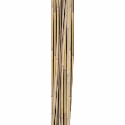 Bambuskepid IN GARDEN H150cm 10tk D10/12