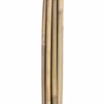 Bambuskepid IN GARDEN H150cm 10tk D10/12 - Pilt 3