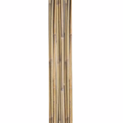 Bambuskepid IN GARDEN H180cm 10tk D12/14