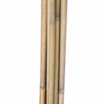 Bambuskepid IN GARDEN H180cm 10tk D12/14 - Pilt 3