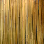 Rull bambusaed IN GARDEN 1,5x3m, D14/16m - Pilt 3