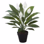 Kunsttaim WIND SPATHE H60cm - Pilt 2
