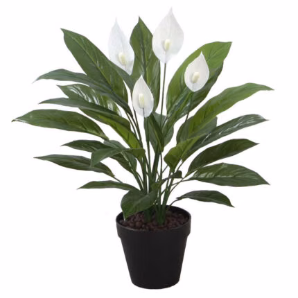 Kunsttaim WIND SPATHE H60cm