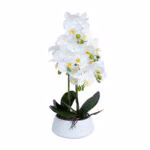 Orhidee GREENLAND H68cm valge pott