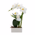 Orhidee GREENLAND H41cm valge pott