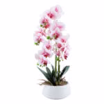 Orhidee GREENLAND H68cm valge pott