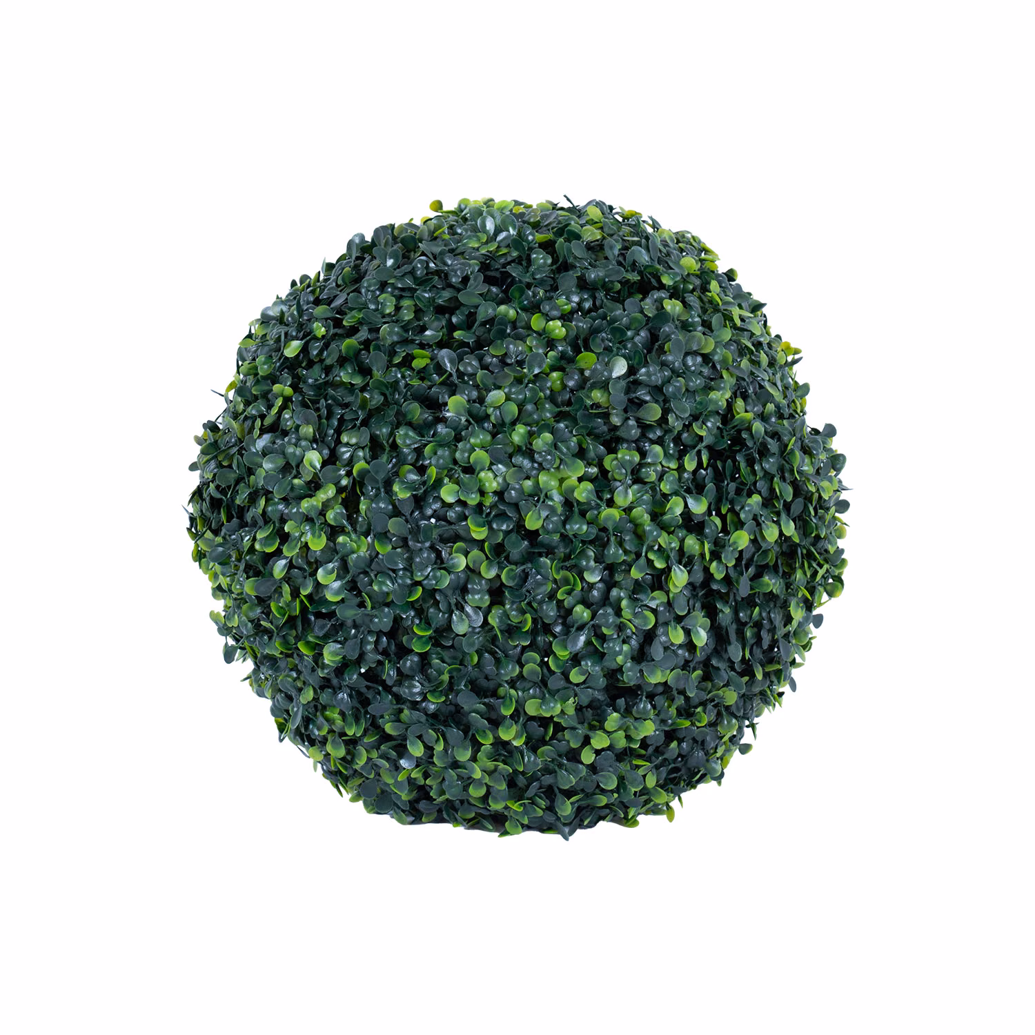 85477 Rohupall BUXUS GREENLAND D27cm