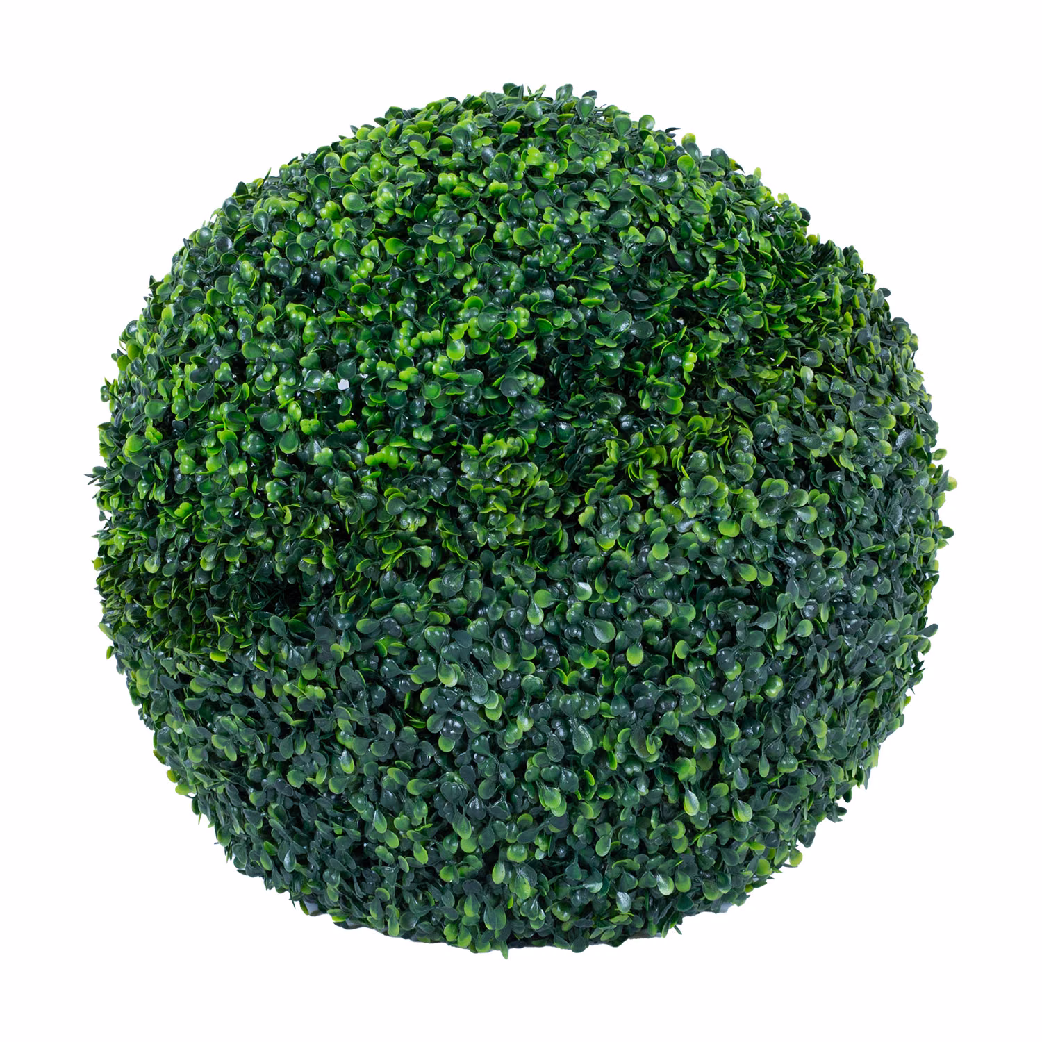 85479 Rohupall BUXUS GREENLAND D52cm