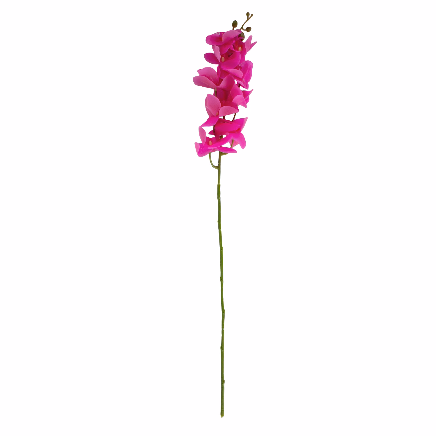 85540 Orhidee FLOWERLY_H94cm