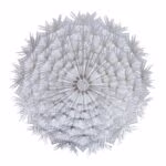 Lauamatt DANDELION D38cm