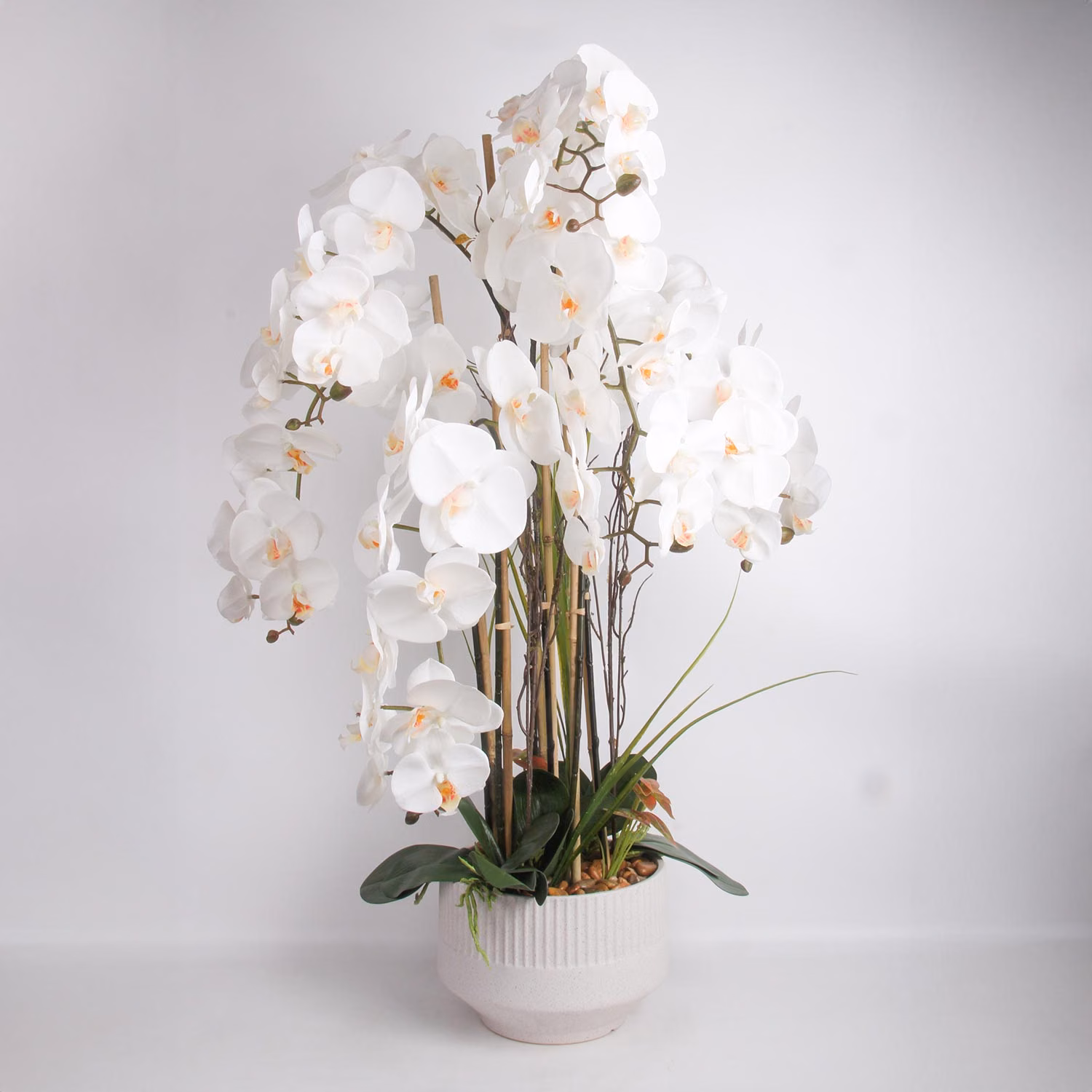 85814 Orhidee GARDEN QUEEN H102cm