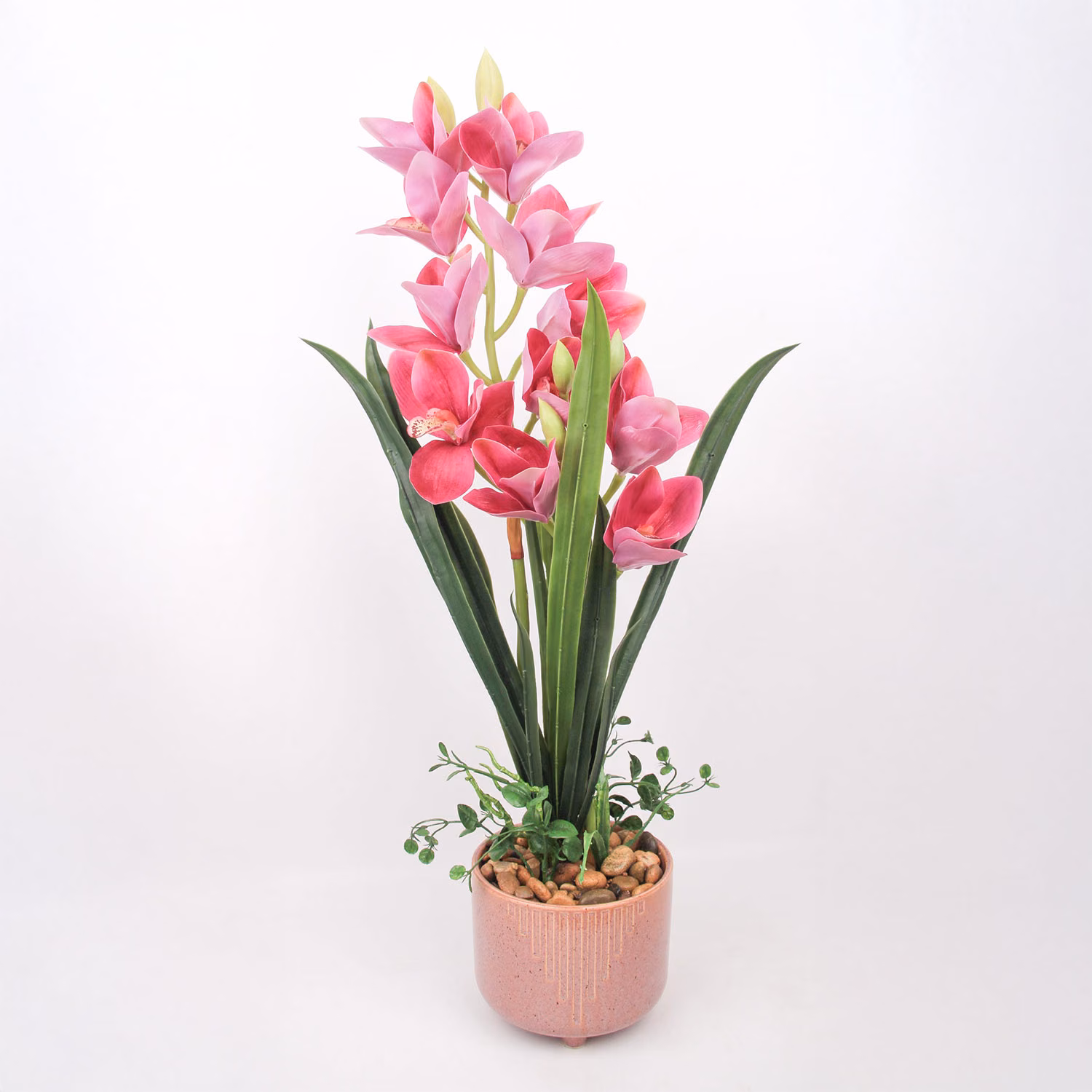 85817 Orhidee GARDEN QUEEN H70cm