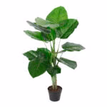 Kunstpuu WIND POTHOS H90cm - Pilt 2