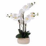 Orhidee WIND IN GARDEN H55cm
