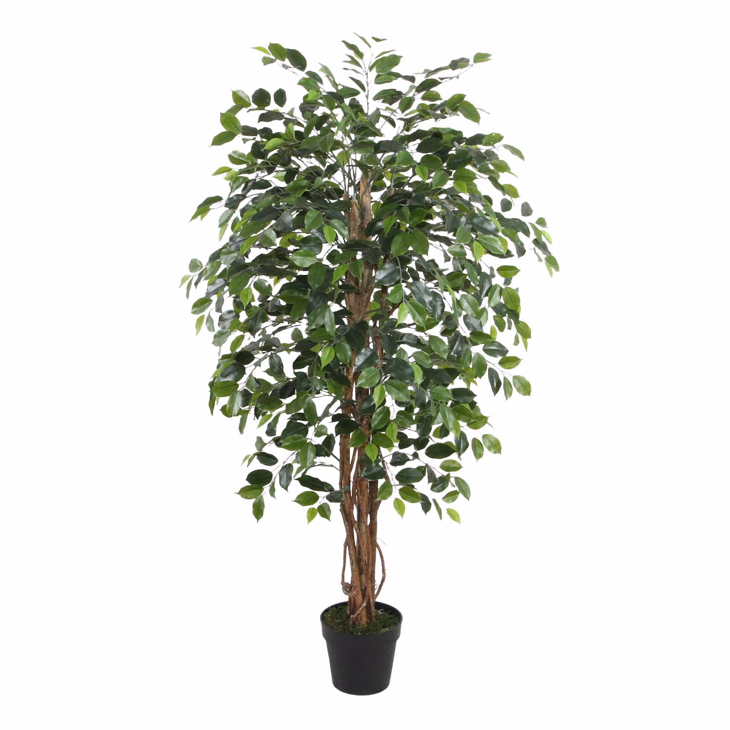 87827 Kunstpuu WIND FICUS H150cm