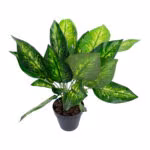 Kunsttaim DIEFFENBACHIA_H45cm - Pilt 2