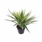 Kunsttaim WIND GRASS_H30cm - Pilt 2