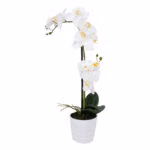 Orhidee WIND IN GARDEN H51cm