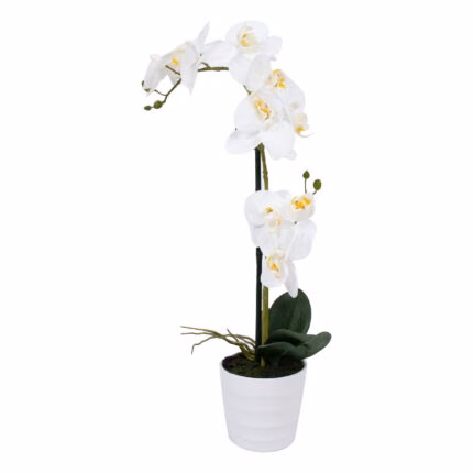 Orhidee WIND IN GARDEN H51cm