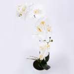 Orhidee WIND IN GARDEN H51cm, valge - Pilt 2