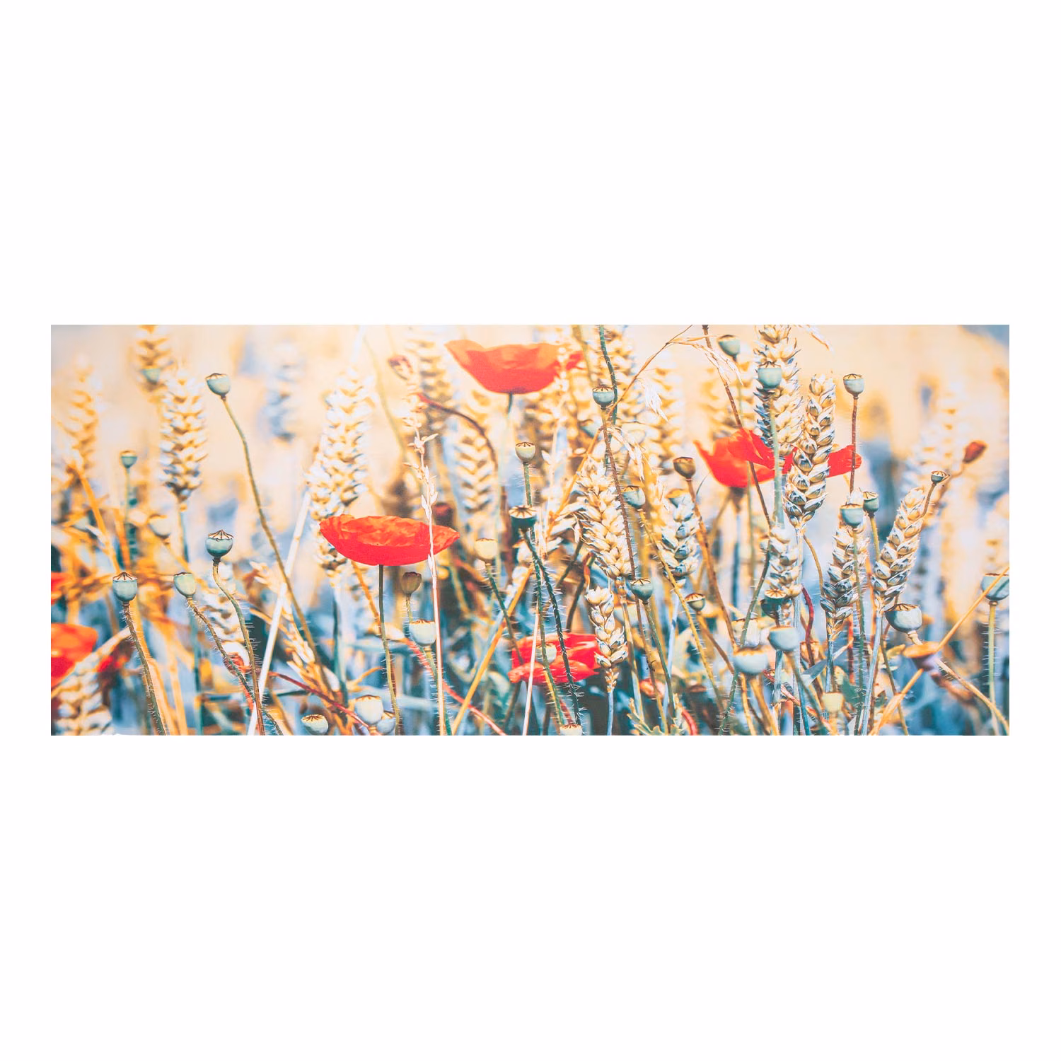 88184 Seinapilt PICTURE LAND_50x120cm