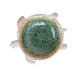 Dekoratsioon AMY TURTLE 21x14x6,5cm - Pilt 2