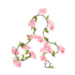 Vanik FLOWERLY 1