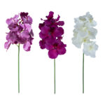 Orhidee FLOWERLY H60cm
