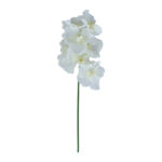Orhidee FLOWERLY H60cm, mix - Pilt 3