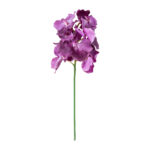 Orhidee FLOWERLY H60cm, mix - Pilt 4