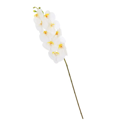Orhidee IN GARDEN H92cm
