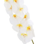 Orhidee IN GARDEN H92cm, valge phalaenopsis - Pilt 2