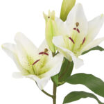 Kunstlill IN GARDEN H75cm, valge liilia - Pilt 2