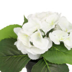 Kunstlill IN GARDEN H18cm, valge hortensia potis - Pilt 2