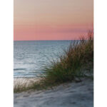 Seinapilt WALLY 50x140cm, loojang - Pilt 2