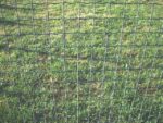 Keevisvõrk Extra Strong (Ø2,5mm) RAL6005 roheline 25m rullis - Pilt 2