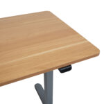 Töölaud ERGO LIGHT 1-mootoriga 120x60xH73-118cm, tamm/hõbehall - Pilt 3