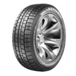 255/50 R19 TALVEREHV