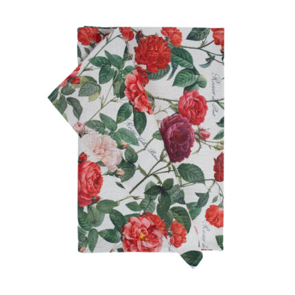 Linik HOLLY