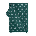 Linik HOLLY