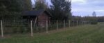Loomavõrk punutud 50m rullis - 1,0m - Pilt 3